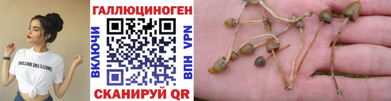 Псилоцибиновые грибы MAGIC MUSHROOMS  Фёдоровский 